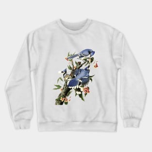 Vintage Blue Jay Illustration 1838 Crewneck Sweatshirt